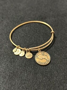 Alex and Ani Gold Taurus Zodiac Charm Bangle